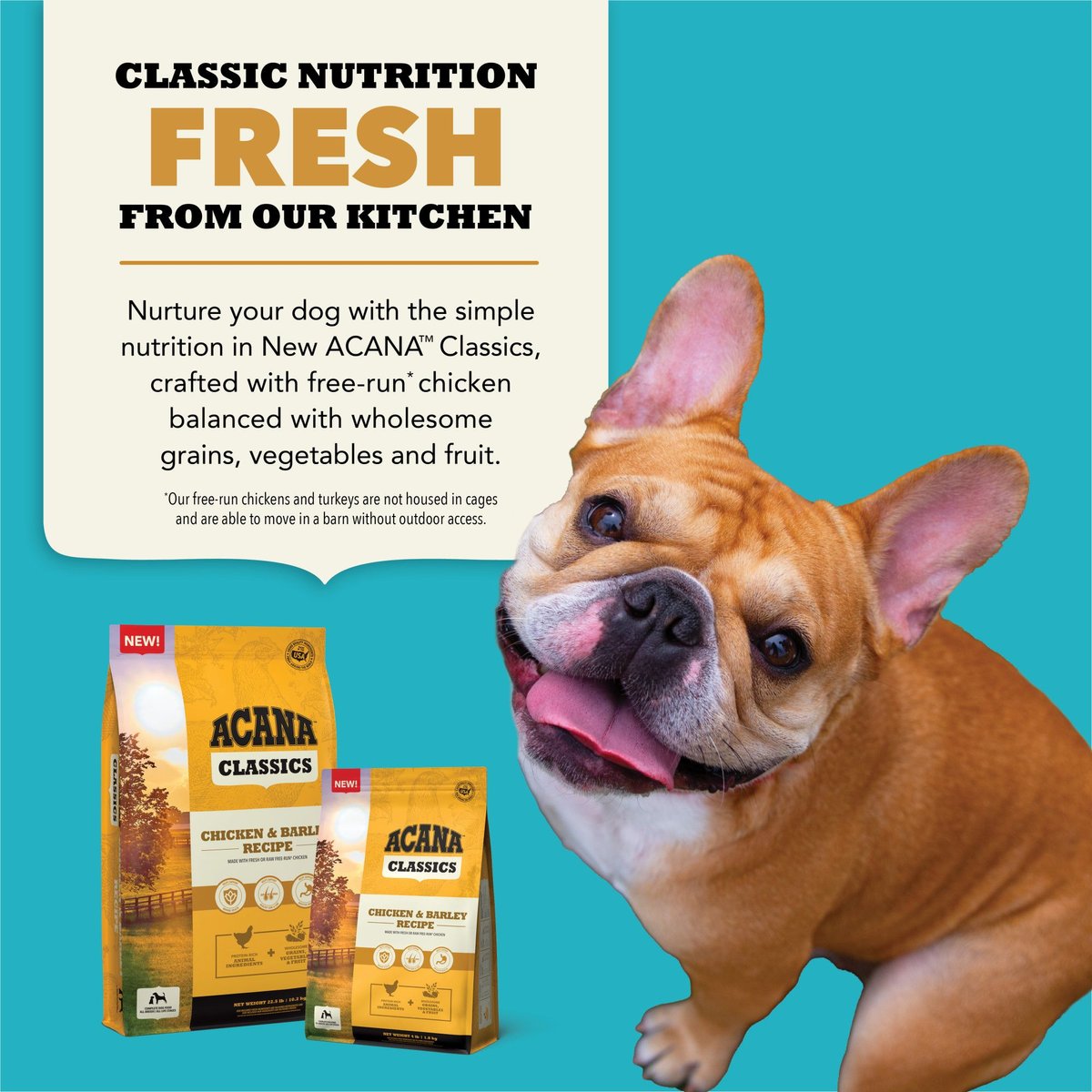 ACANA Classics Chicken & Barley Recipe Dry Dog Food