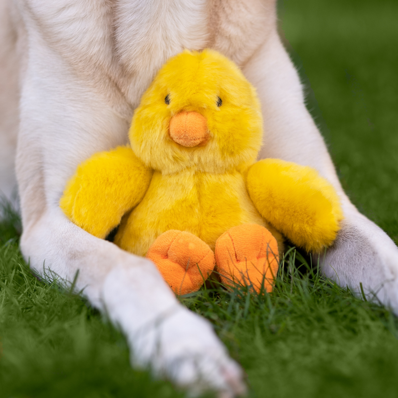 Fluff & Tuff Dog Howie Duck Plush Toy