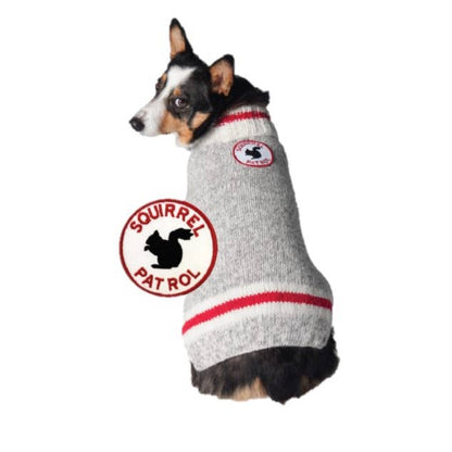 Chilly Dog Squirrel Patrol Dog Sweater