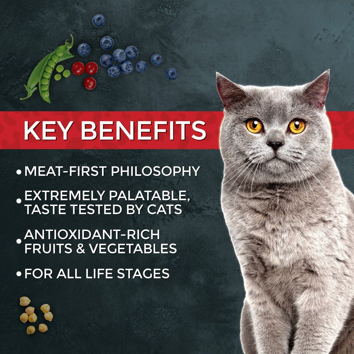 Fussie Cat Market Fresh Grain-Free Chicken and Turkey Dry Food