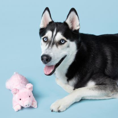 Fluff & Tuff Dog Petey Pig Plush Toy