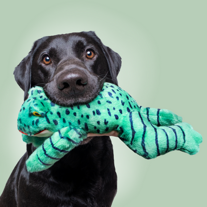 Fluff & Tuff Oliver Frog Plush Dog Toy