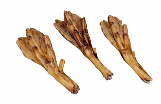 GoGo Duck Foot Dog Treat
