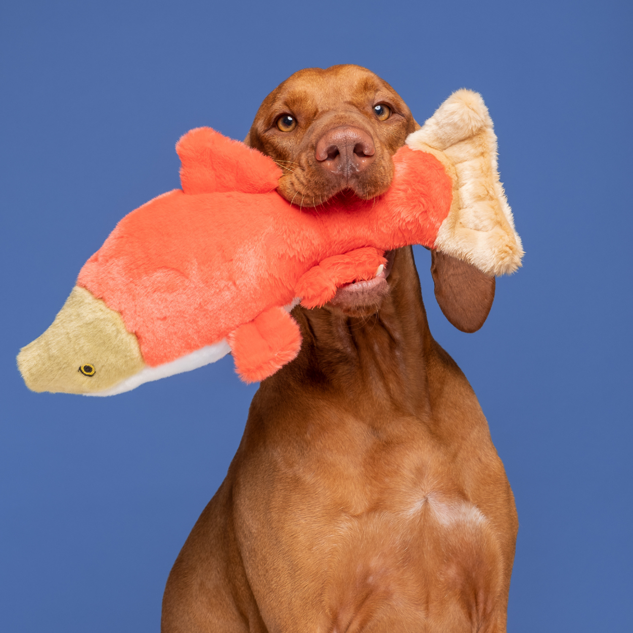 Fluff & Tuff Dog Cedar Salmon Plush Toy