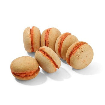 Macaroon - Claudia's Canine Bakery