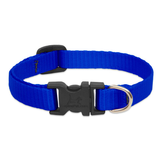 LupinePet Basic Solids Dog Collar, Small