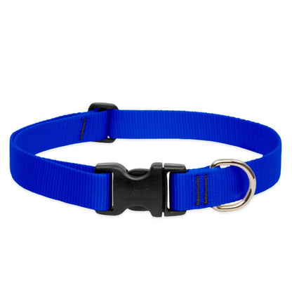 LupinePet Basic Solids Dog Collar, Large