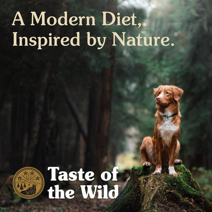 Taste of the Wild Dog Ancient Mountain Dry Food