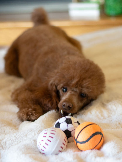 ThoozyPet Tennis Ball Assorted (Baseball / Basketball / Soccer) Fetch Dog Toy