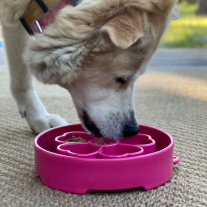 SodaPup Enrichment Slow Feeder Bowl, Flower