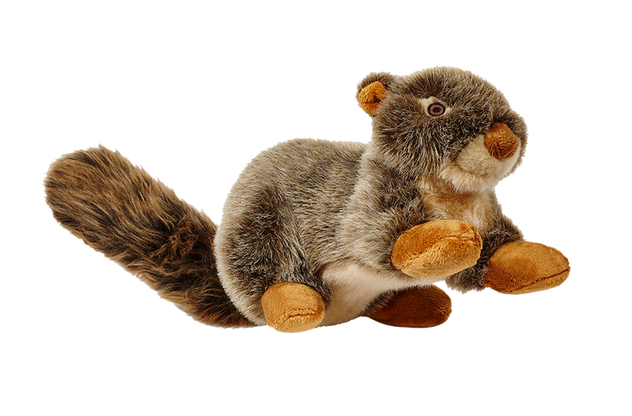 Fluff & Tuff Dog Nuts Squirrel Plush Toy