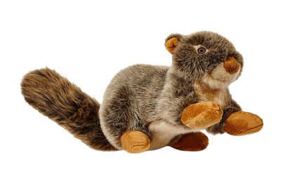 Fluff & Tuff Dog Nuts Squirrel Plush Toy