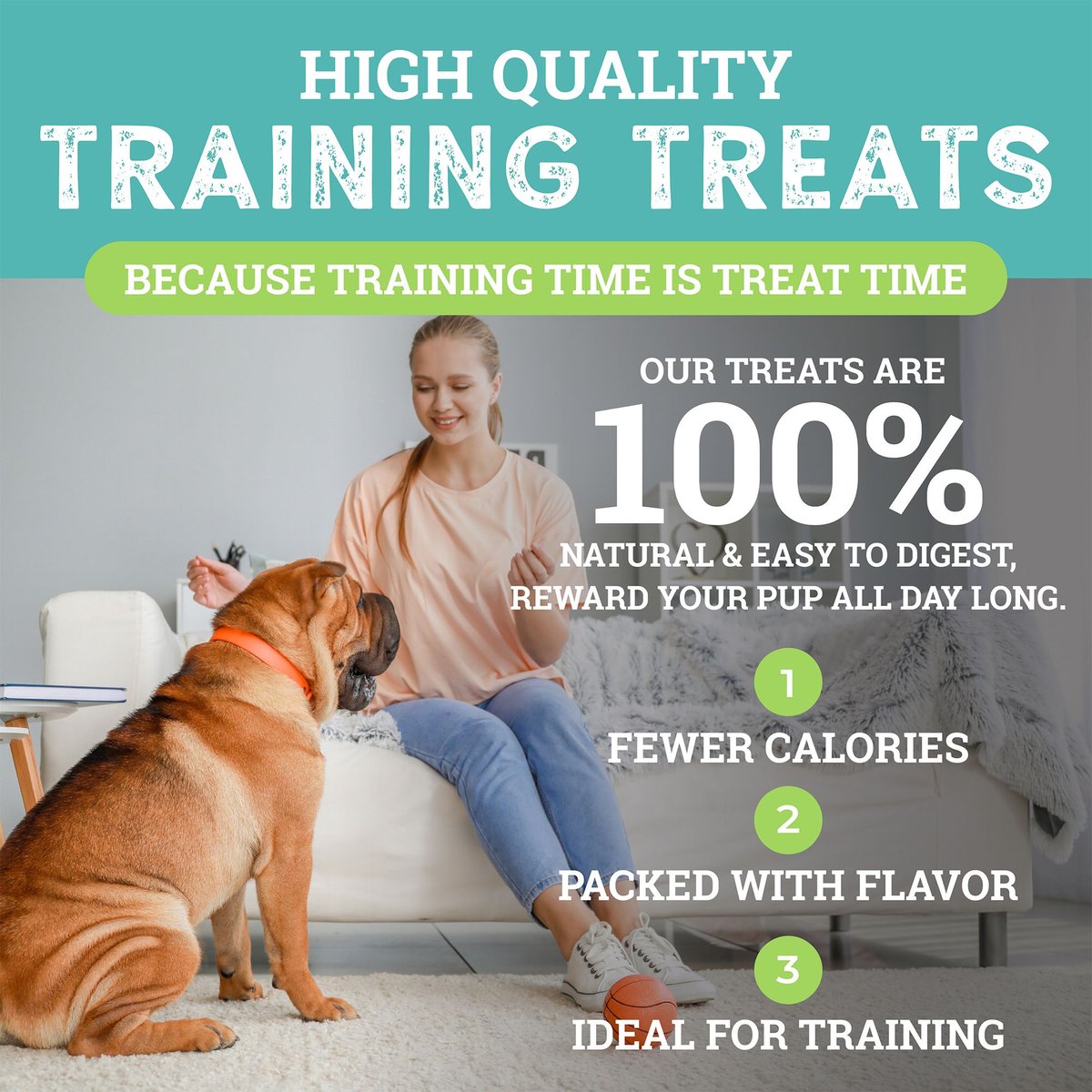 Etta Says! Sit! Dog Training Treats