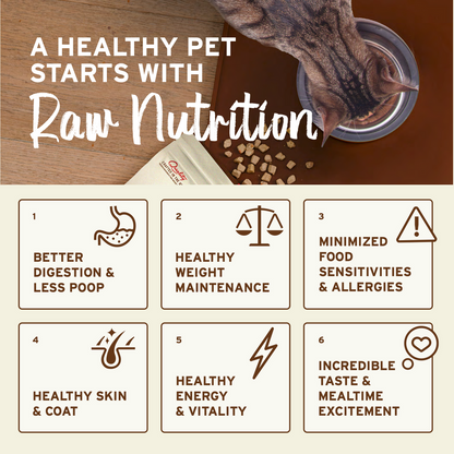 Primal Cat Raw Frozen Rabbit Nuggets