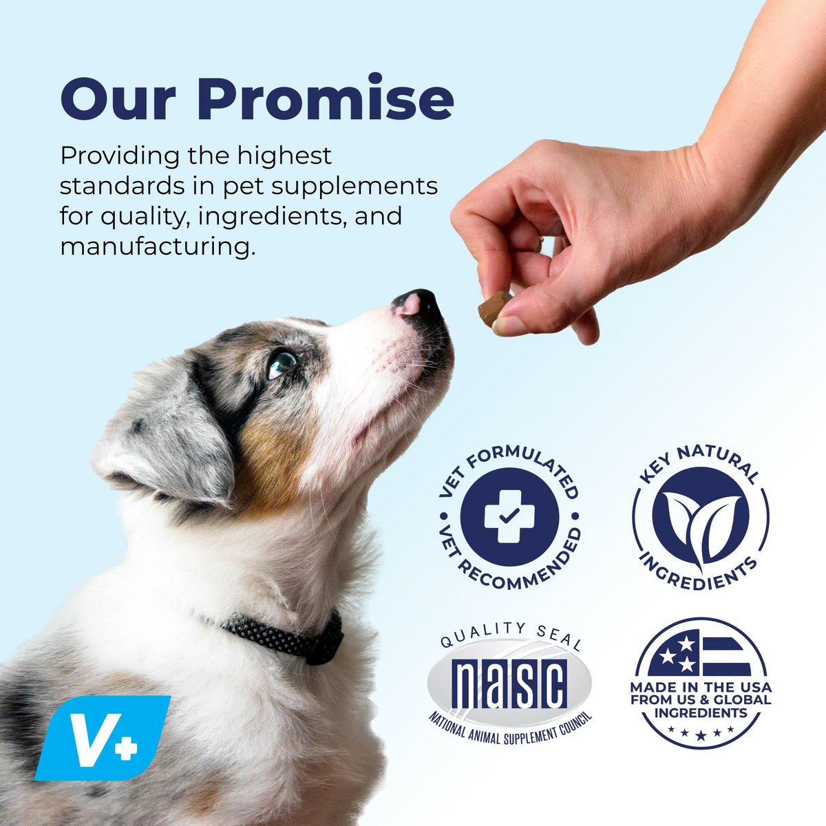 Vetnique Labs Dermabliss Salmon Flavored Allergy Support and Fish Oil Soft Chew Supplement for Dogs