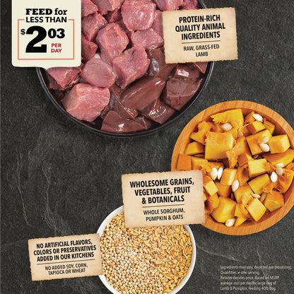 ACANA Singles + Wholesome Grains Limited Ingredient Diet Lamb & Pumpkin Recipe Dry Dog Food