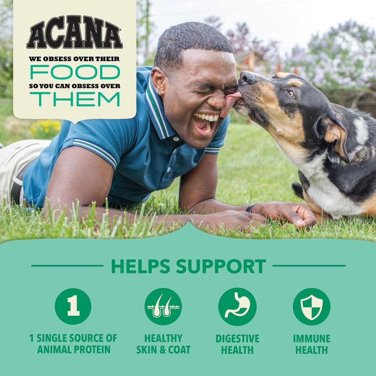 ACANA Singles + Wholesome Grains Limited Ingredient Diet Lamb & Pumpkin Recipe Dry Dog Food