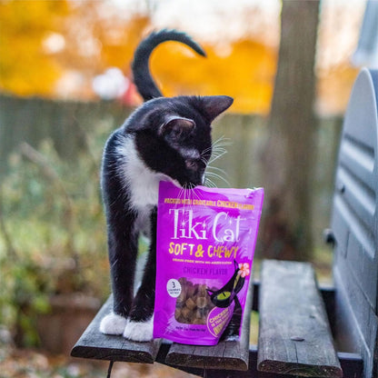 Tiki Cat Soft and Chewy Grain Free Treats