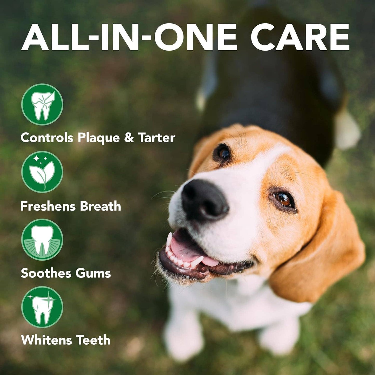 Vet’s Best Dog Enzymatic Toothpaste