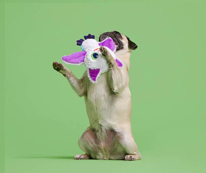 BARK Dog Sweet Fang Toy