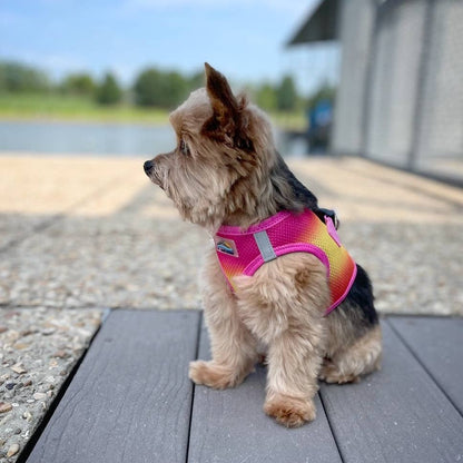 Doggie Design American River Ombre Dog Harness, Raspberry Pink & Orange