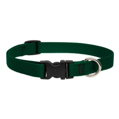 LupinePet Basic Solids Dog Collar, Medium