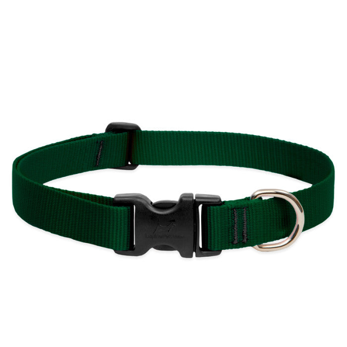 LupinePet Basic Solids Dog Collar, Large