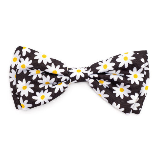 Worthy Dog - Lazy Daisy Bow Tie