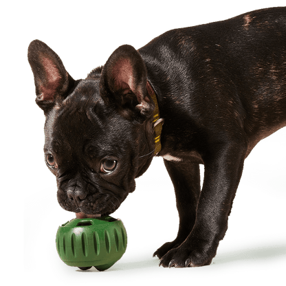 Woof Pupsicle Long Lasting Refillable Dog Treat Dispenser Toy, Green