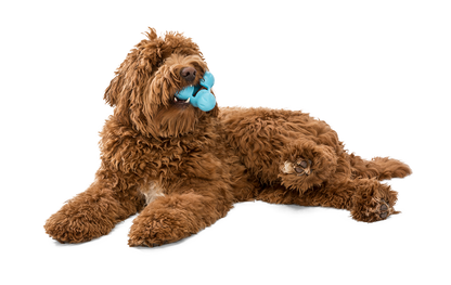 West Paw Tux Puzzle Treat-Dispensing Slow Feeder Dog Toy