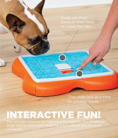 Nina Ottosson by Outward Hound Dog Challenge Slider Interactive Treat Puzzle