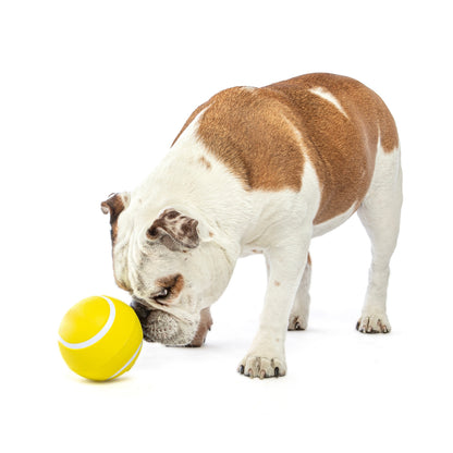 Guru Pet Giggling Tennis Ball Dog Fetch Toy