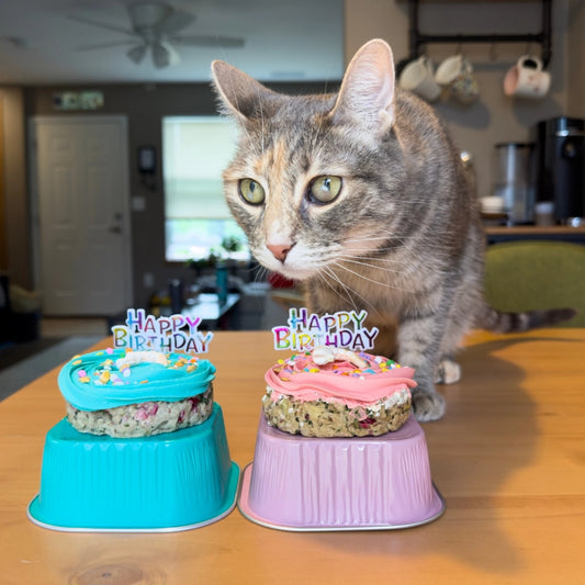 Lucky Biscuit - Mini Cake Freeze Dried Pork/Shrimp with Icing for Cats