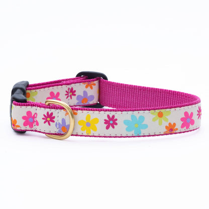 Up Country Spring Fever Dog Collar