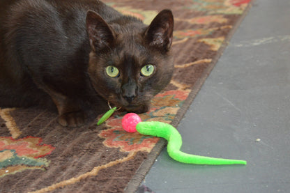 Dezi & Roo Solid Marbled Bouncy Ball Cat Toy