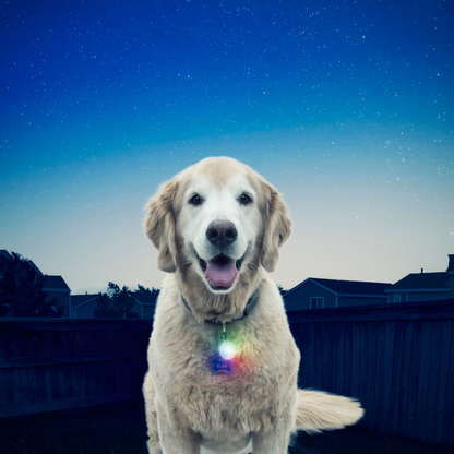 Nite Ize SpotLit Disc-O-Select Collar Light