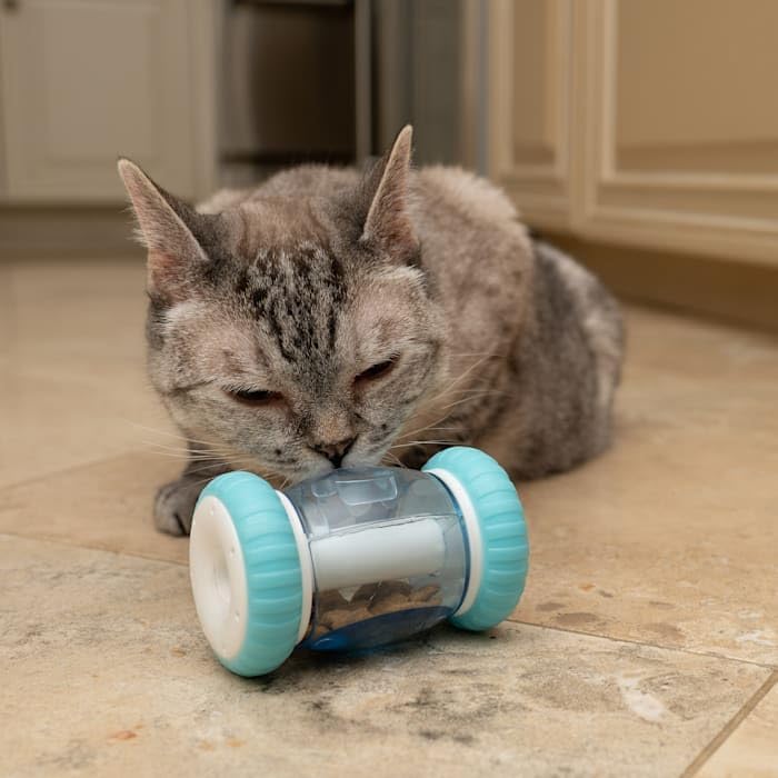 Nala Cat Wheelie Treat Dispenser