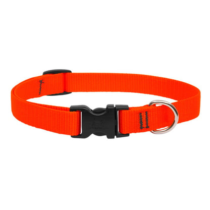 LupinePet Basic Solids Dog Collar, Medium