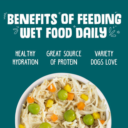 Weruva Dog Funky Chunky Chicken Soup with Pumpkin Grain-Free Canned Food