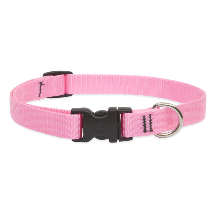 LupinePet Basic Solids Dog Collar, Medium