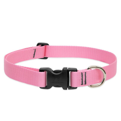 LupinePet Basic Solids Dog Collar, Large