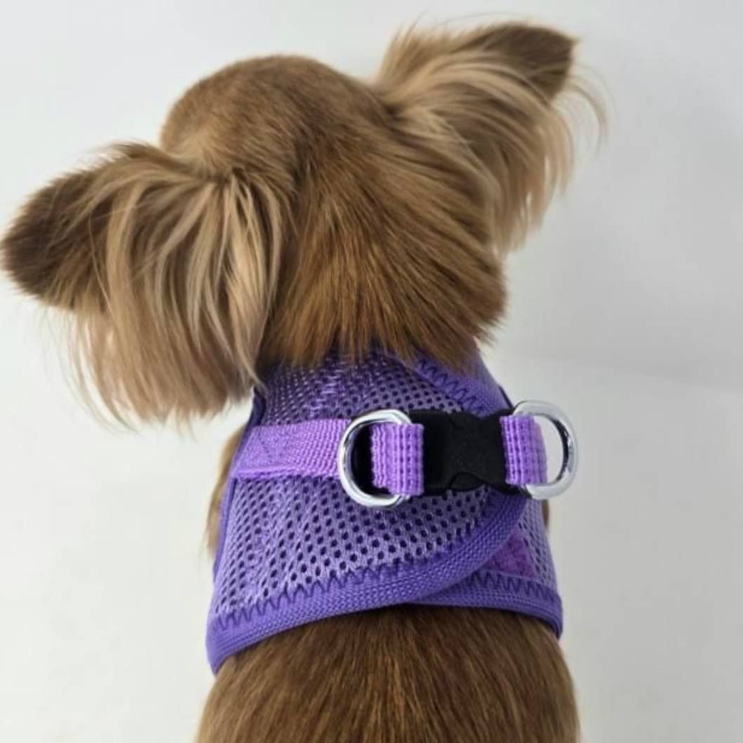 Doggie Design American River Solid Dog Harness, Paisley Purple