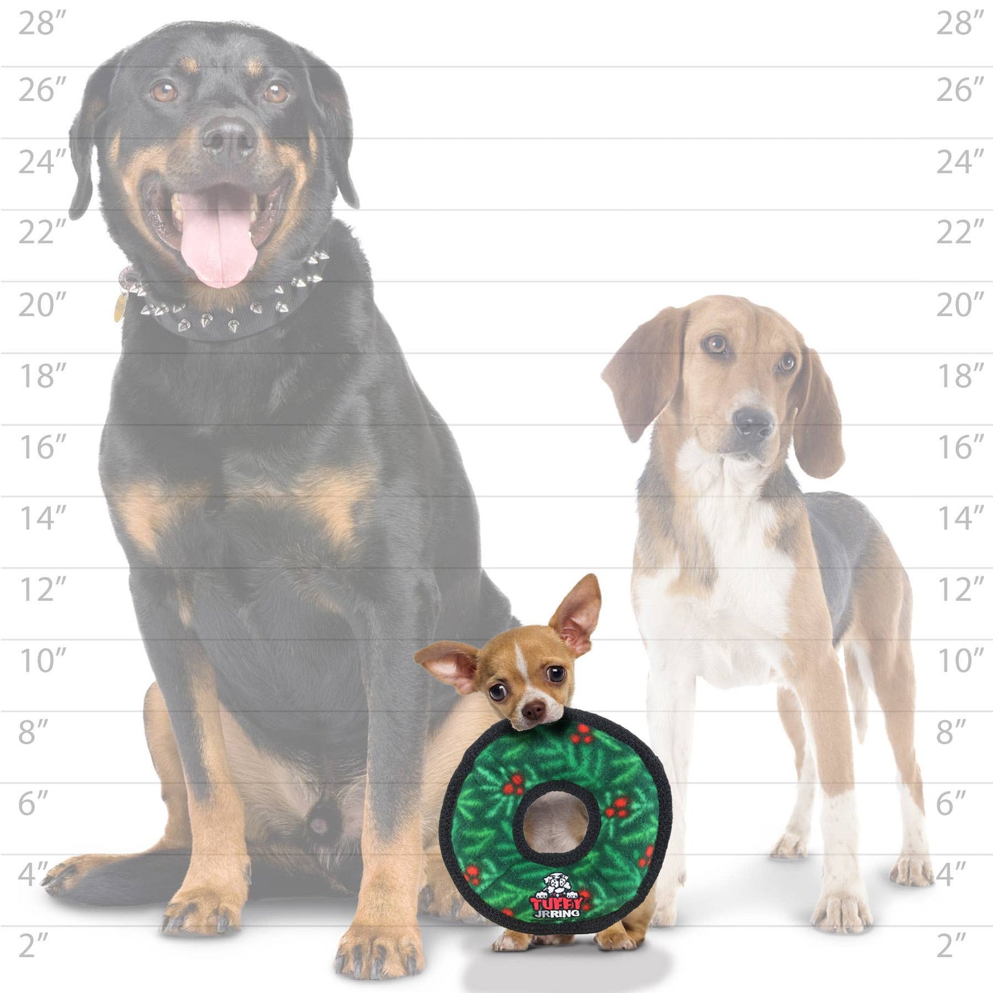 Tuffy Jr Ring Wreath, Durable, Squeaky Dog Toy
