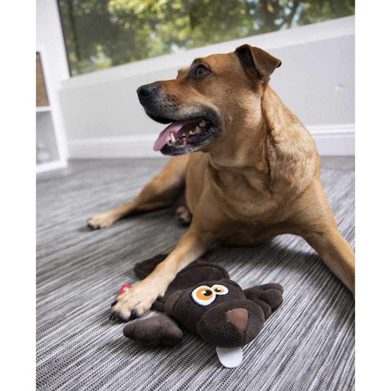 goDog Hear Doggy Flattie Beaver Ultrasonic Silent Squeaker Dog Toy Large