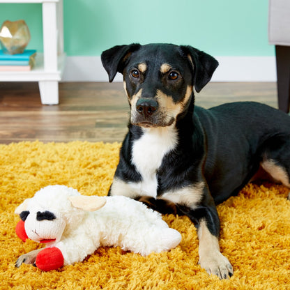 Multipet Lamb Chop Squeaky Plush Dog Toy