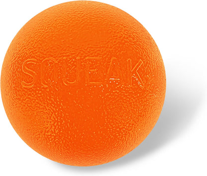 Outward Hound Orbee-Tuff Squeak Ball Dog Toy