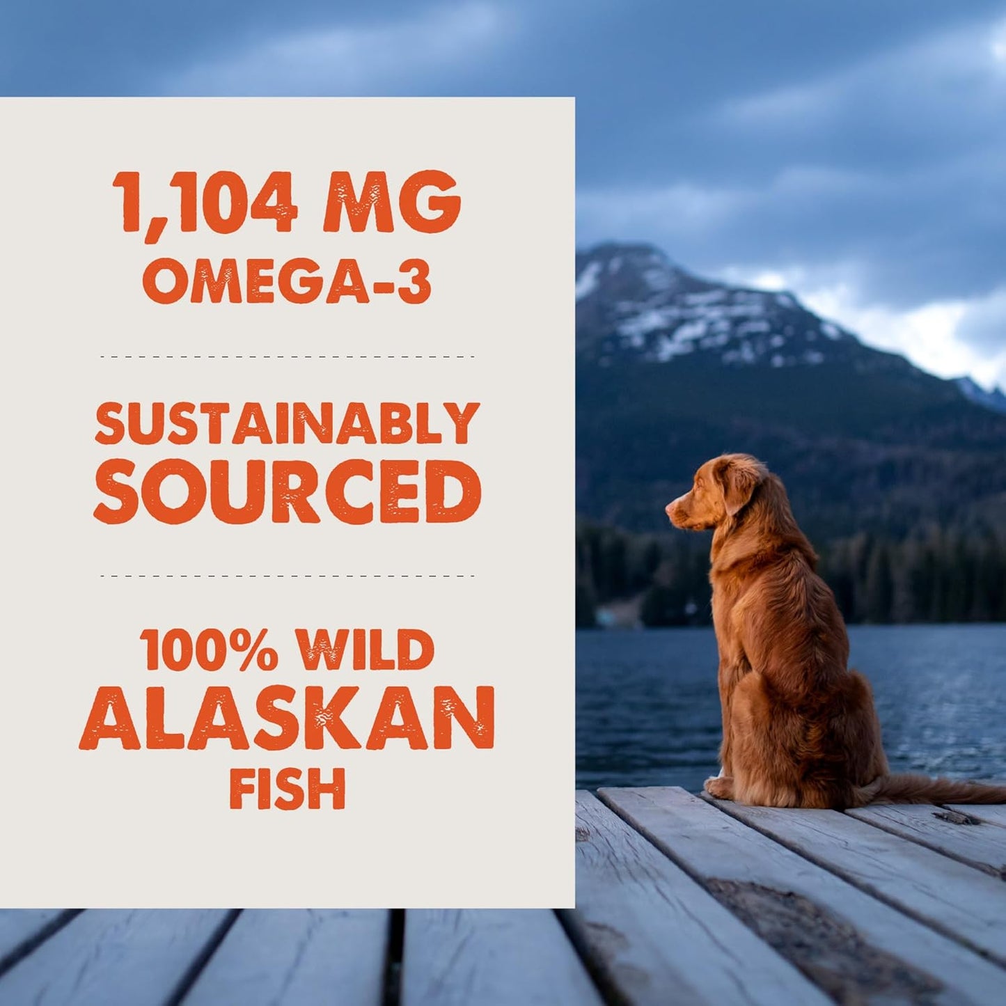 Grizzly Salmon Oil Food Supplement for Dogs and Cats