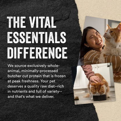 Vital Essentials Ahi Tuna Bites Freeze-Dried Raw Cat Treats