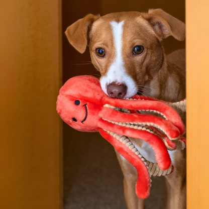 Fluff & Tuff Dog Squirt Octopus Plush Toy