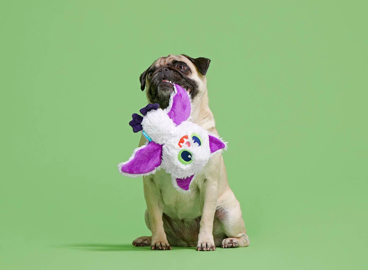 BARK Dog Sweet Fang Toy